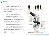 1.2.1 学习使用显微镜课件--2024-2025学年人教版（2024）生物七年级上册