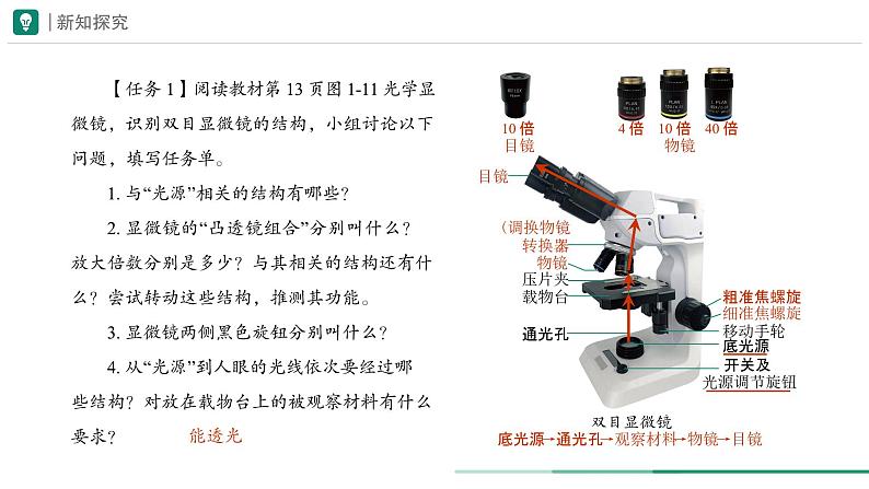 1.2.1 学习使用显微镜课件--2024-2025学年人教版（2024）生物七年级上册第4页