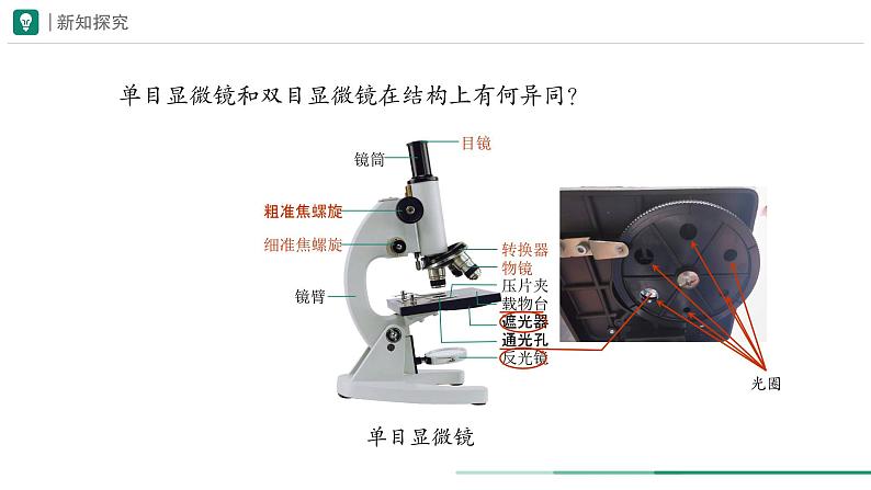 1.2.1 学习使用显微镜课件--2024-2025学年人教版（2024）生物七年级上册第5页