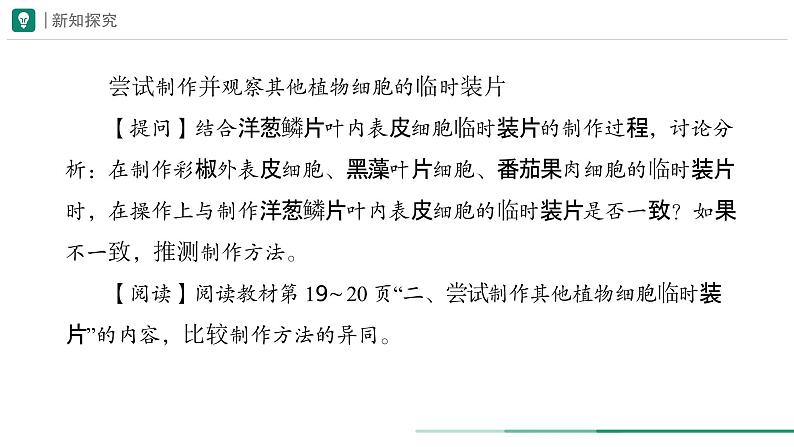 1.2.2 植物细胞 第二课时课件--2024-2025学年人教版（2024）生物七年级上册第4页