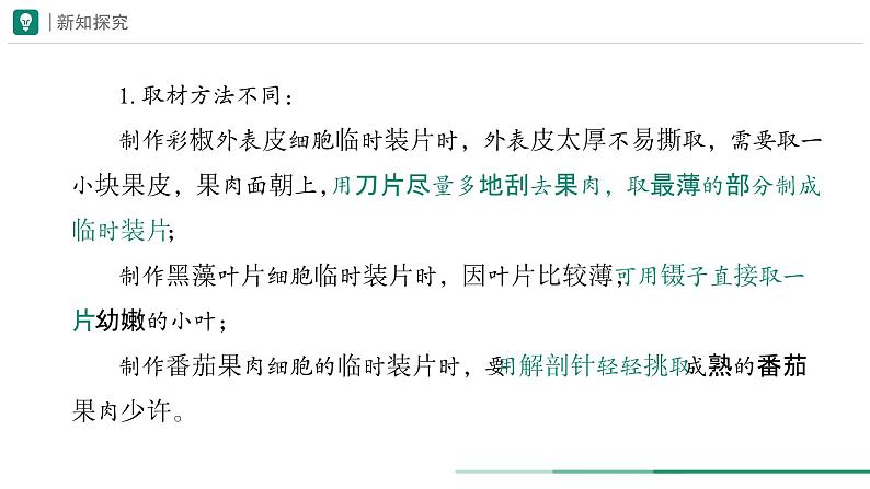 1.2.2 植物细胞 第二课时课件--2024-2025学年人教版（2024）生物七年级上册第5页