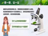 1.2.2 植物细胞（教学设计表格式+课件）---2024-2025学年人教版（2024）生物七年级上册