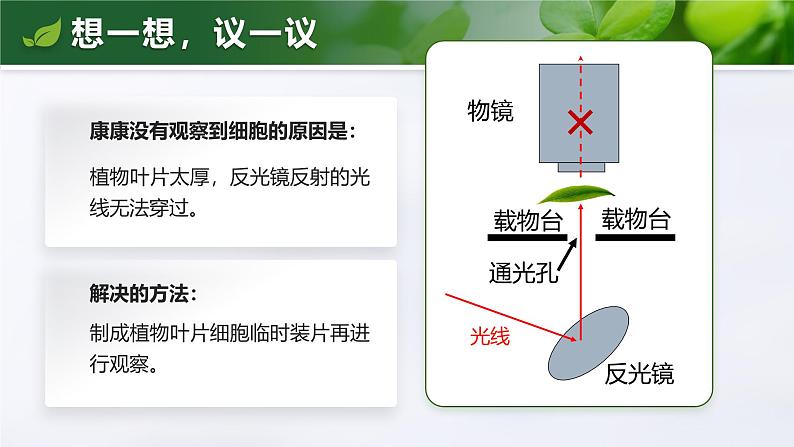 1.2.2 植物细胞-课件第3页