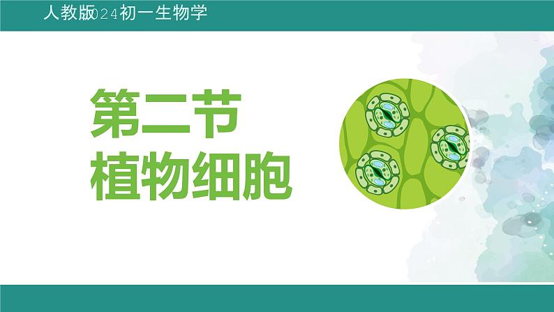 1.2.2植物细胞课件--2024-2025学年人教版（2024）生物七年级上册第1页