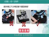1.2.2植物细胞课件--2024-2025学年人教版（2024）生物七年级上册