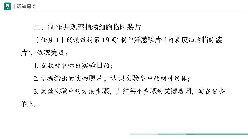 1.2.2 植物细胞 （第1课时）课件--2024-2025学年人教版（2024）生物七年级上册06