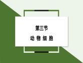 1.2.3 动物细胞 课件 2024-2025学年人教版（2024）生物七年级上册