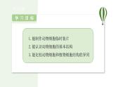 1.2.3 动物细胞 课件 2024-2025学年人教版（2024）生物七年级上册