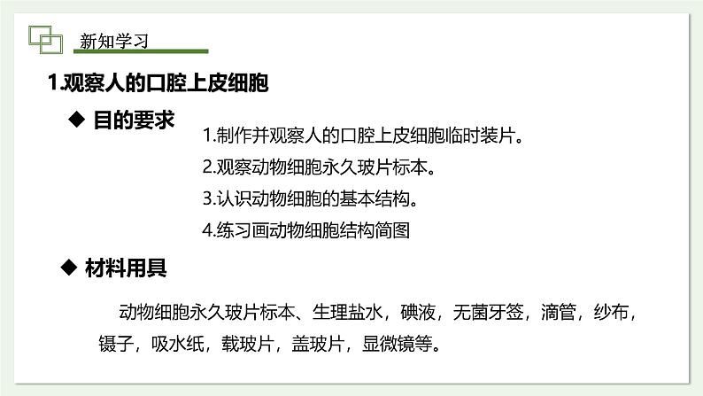 1.2.3 动物细胞 课件 2024-2025学年人教版（2024）生物七年级上册第5页