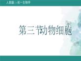 1.2.3 动物细胞 课件--2024-2025学年人教版（2024）生物七年级上册