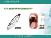 1.2.3 动物细胞 课件--2024-2025学年人教版（2024）生物七年级上册