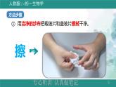 1.2.3 动物细胞 课件--2024-2025学年人教版（2024）生物七年级上册