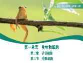 1.2.3 动物细胞课件--2024-2025学年人教版（2024）生物七年级上册