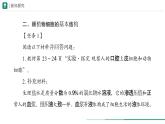 1.2.3 动物细胞课件--2024-2025学年人教版（2024）生物七年级上册