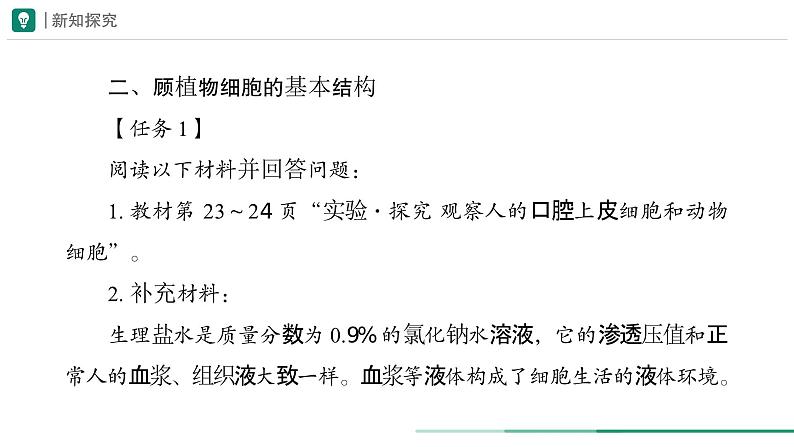 1.2.3 动物细胞课件--2024-2025学年人教版（2024）生物七年级上册第3页