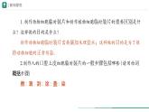 1.2.3 动物细胞课件--2024-2025学年人教版（2024）生物七年级上册
