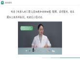1.2.3 动物细胞课件--2024-2025学年人教版（2024）生物七年级上册