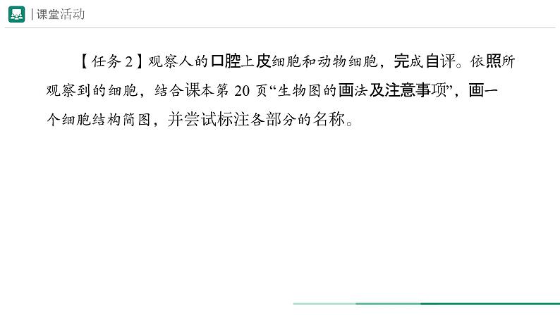 1.2.3 动物细胞课件--2024-2025学年人教版（2024）生物七年级上册第6页