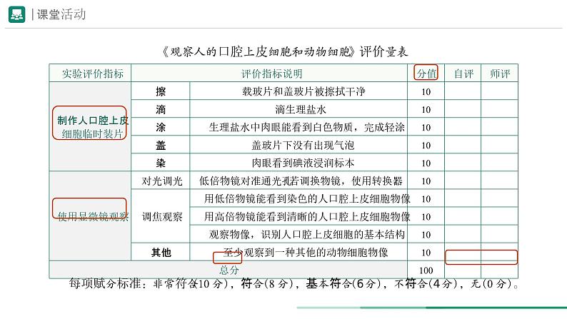 1.2.3 动物细胞课件--2024-2025学年人教版（2024）生物七年级上册第7页