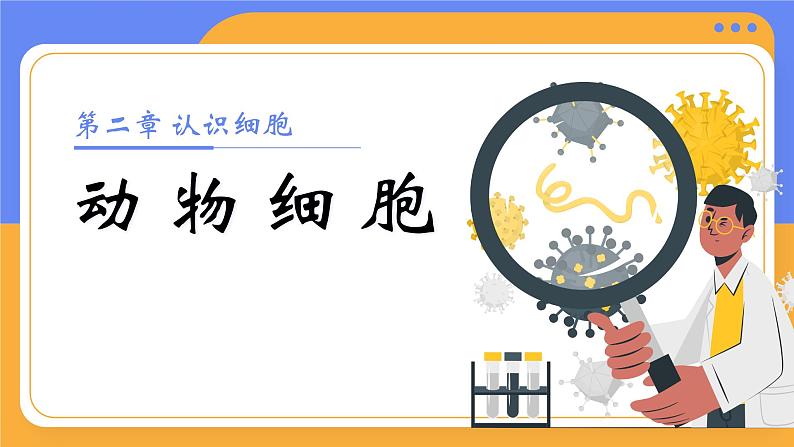 1.2.3 动物细胞（教学设计（表格式）+课件）----2024-2025学年人教版（2024）生物七年级上册01