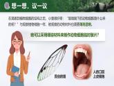 1.2.3 动物细胞（教学设计（表格式）+课件）----2024-2025学年人教版（2024）生物七年级上册