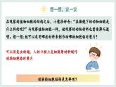 1.2.3动物细胞课件   2024-2025学年人教版（2024）生物七年级上册