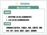 1.2.3动物细胞课件   2024-2025学年人教版（2024）生物七年级上册