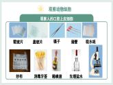 1.2.3动物细胞课件   2024-2025学年人教版（2024）生物七年级上册