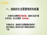 1.2.4细胞的生活课件 --2024-2025学年人教版（2024）生物七年级上册