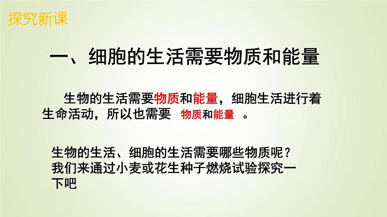 1.2.4细胞的生活课件 --2024-2025学年人教版（2024）生物七年级上册第5页