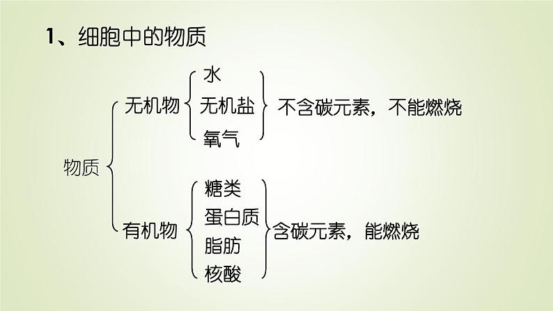 1.2.4细胞的生活课件 --2024-2025学年人教版（2024）生物七年级上册第7页