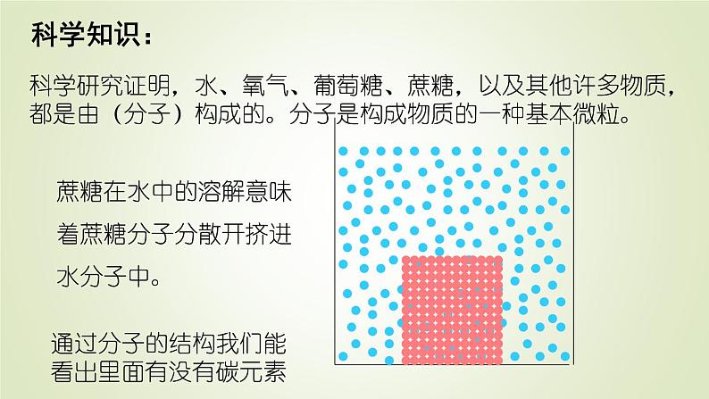 1.2.4细胞的生活课件 --2024-2025学年人教版（2024）生物七年级上册第8页