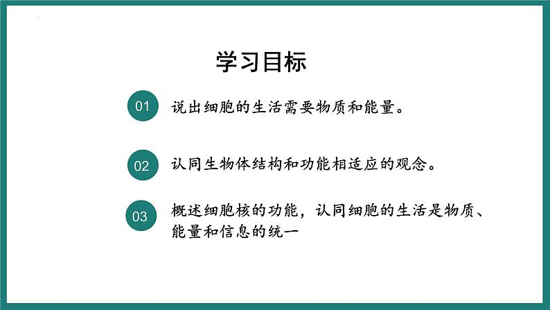 1.2.4细胞的生活课件 2024-2025学年人教版（2024）生物七年级上册第4页