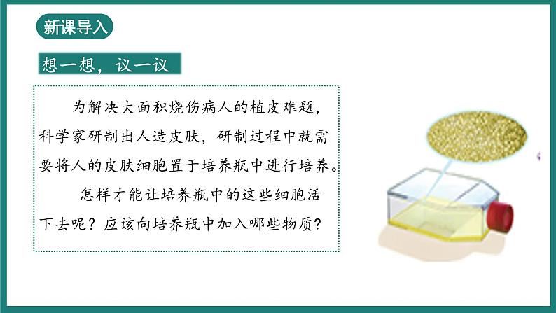 1.2.4细胞的生活课件 2024-2025学年人教版（2024）生物七年级上册第5页