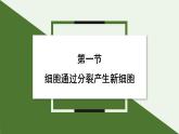 1.3.1 细胞通过分裂产生新细胞 课件--2024-2025学年人教版（2024）生物七年级上册
