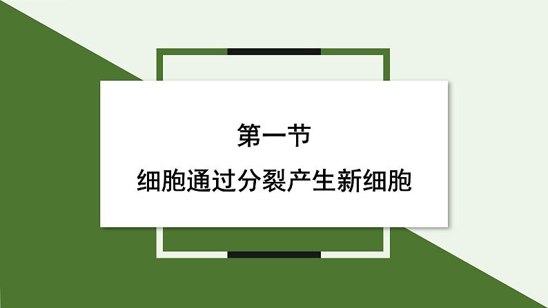 1.3.1 细胞通过分裂产生新细胞 课件--2024-2025学年人教版（2024）生物七年级上册第1页