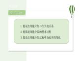 1.3.1 细胞通过分裂产生新细胞 课件--2024-2025学年人教版（2024）生物七年级上册