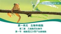 七年级上册（2024）第一节 细胞通过分裂产生新细胞课文课件ppt