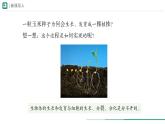 1.3.1 细胞通过分裂产生新细胞课件  -2024-2025学年人教版（2024）生物七年级上册