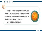 1.3.1 细胞通过分裂产生新细胞课件2024-2025学年人教版（2024）生物七年级上册
