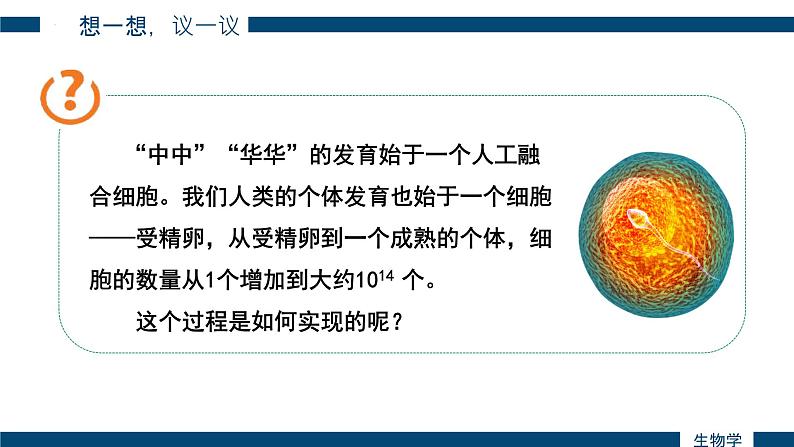 1.3.1 细胞通过分裂产生新细胞课件2024-2025学年人教版（2024）生物七年级上册第1页