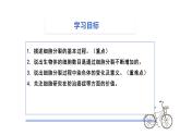 1.3.1 细胞通过分裂产生新细胞课件2024-2025学年人教版（2024）生物七年级上册