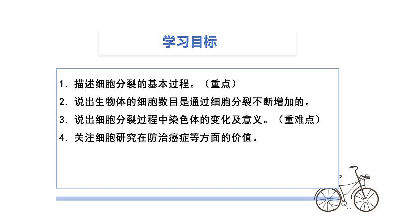 1.3.1 细胞通过分裂产生新细胞课件2024-2025学年人教版（2024）生物七年级上册第3页