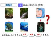 1.3.1 细胞通过分裂产生新细胞课件2024-2025学年人教版（2024）生物七年级上册