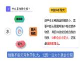 1.3.1 细胞通过分裂产生新细胞课件2024-2025学年人教版（2024）生物七年级上册