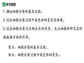 1.3.1细胞通过分裂产生新细胞课件   2024-2025学年人教版（2024）生物七年级上册