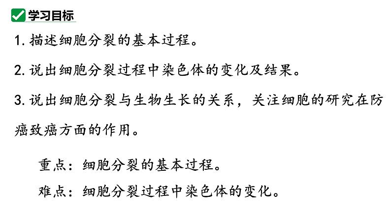 1.3.1细胞通过分裂产生新细胞课件   2024-2025学年人教版（2024）生物七年级上册第2页