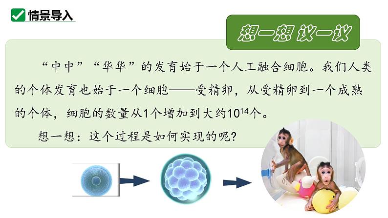 1.3.1细胞通过分裂产生新细胞课件   2024-2025学年人教版（2024）生物七年级上册第3页