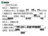1.3.1细胞通过分裂产生新细胞课件   2024-2025学年人教版（2024）生物七年级上册