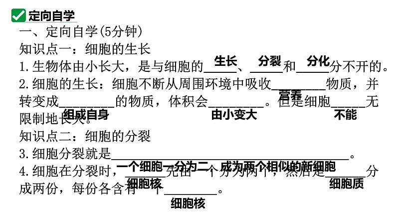 1.3.1细胞通过分裂产生新细胞课件   2024-2025学年人教版（2024）生物七年级上册第4页